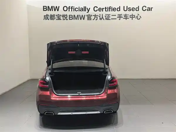 BMW 5 Series New Energy 2022