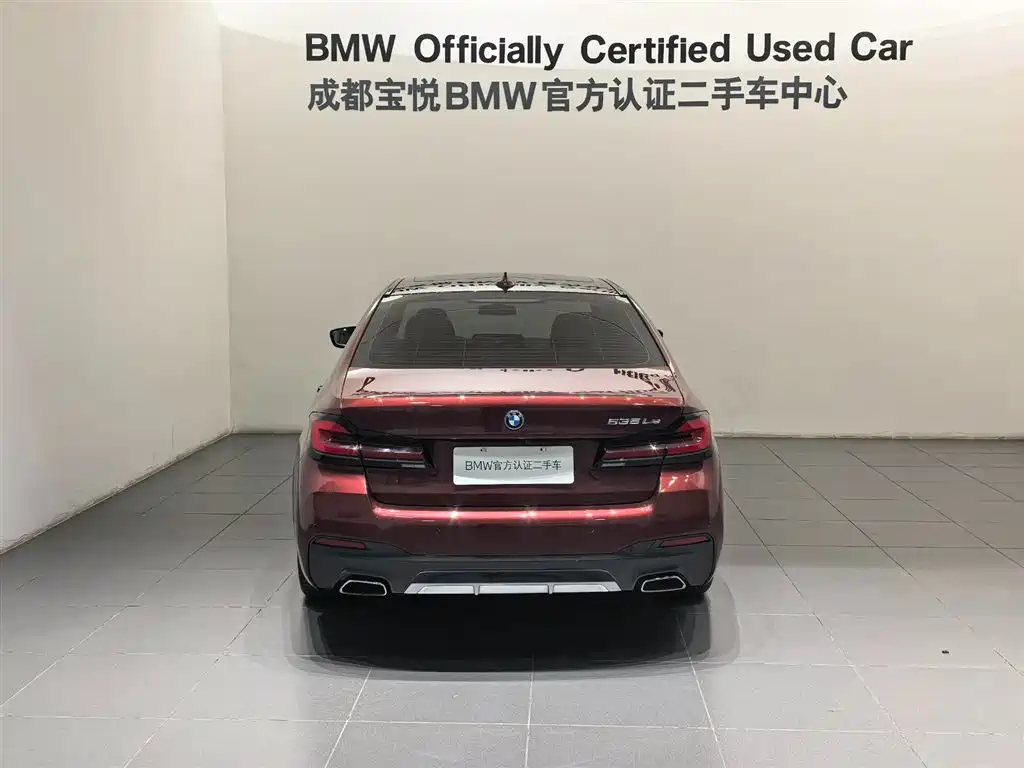 BMW 5 Series New Energy 2022