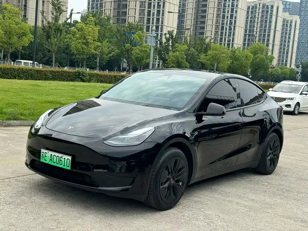 Tesla Model Y 2023 — фото 2