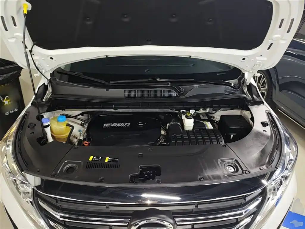 GAC Motor Trumpchi M8 2023 — фото 20