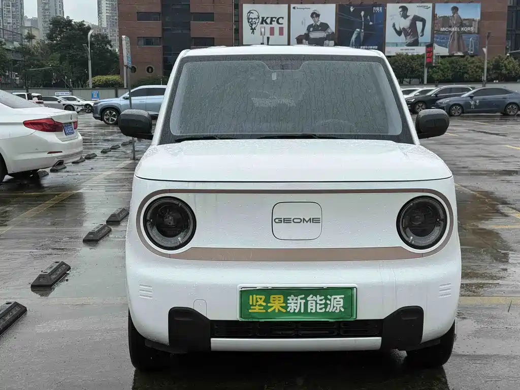 Galaxy Panda 2025