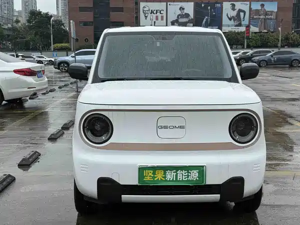 Geely Galaxy Panda 2025