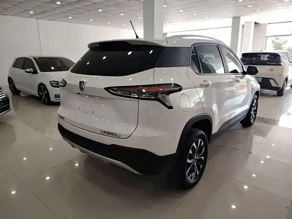 Baojun 510 2019