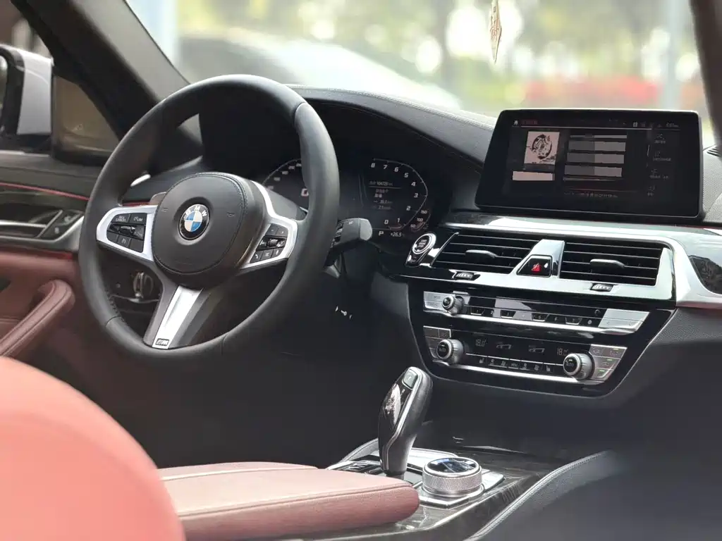 BMW 5 Series 2019 — фото 9