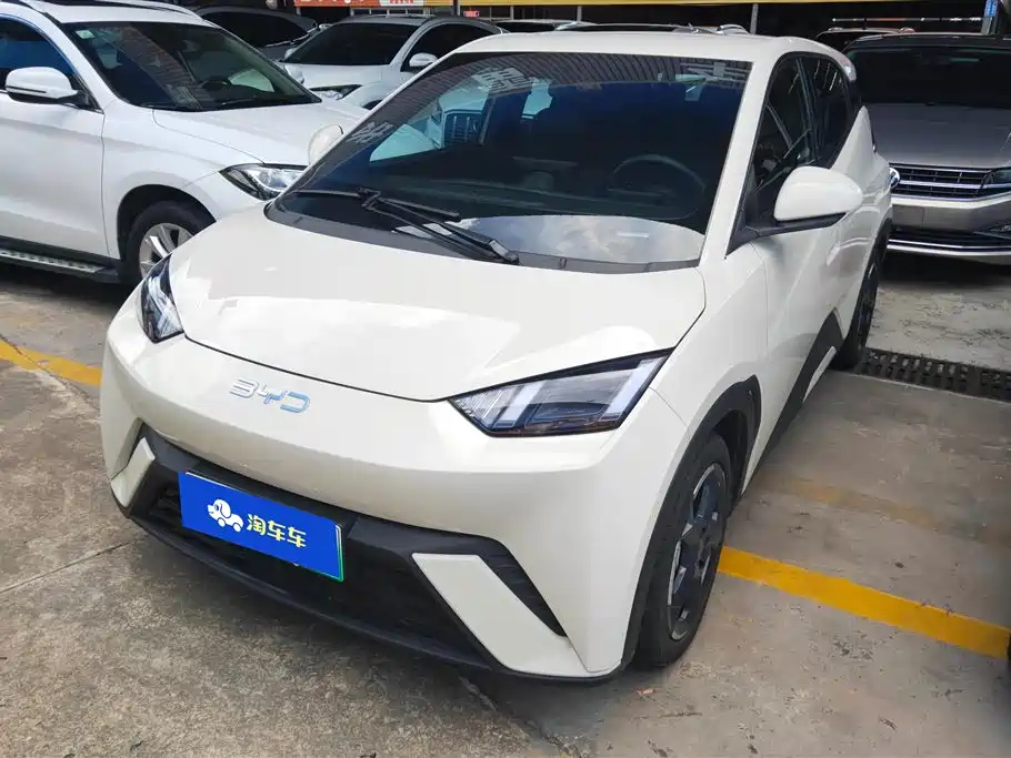 BYD Seagull 2024