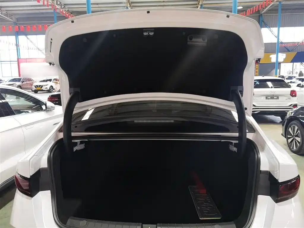 BYD Qin PLUS 2025 — фото 15