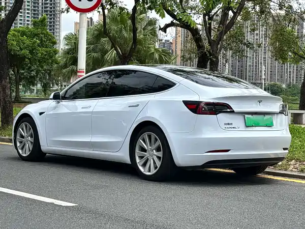 Tesla Model 3 2020