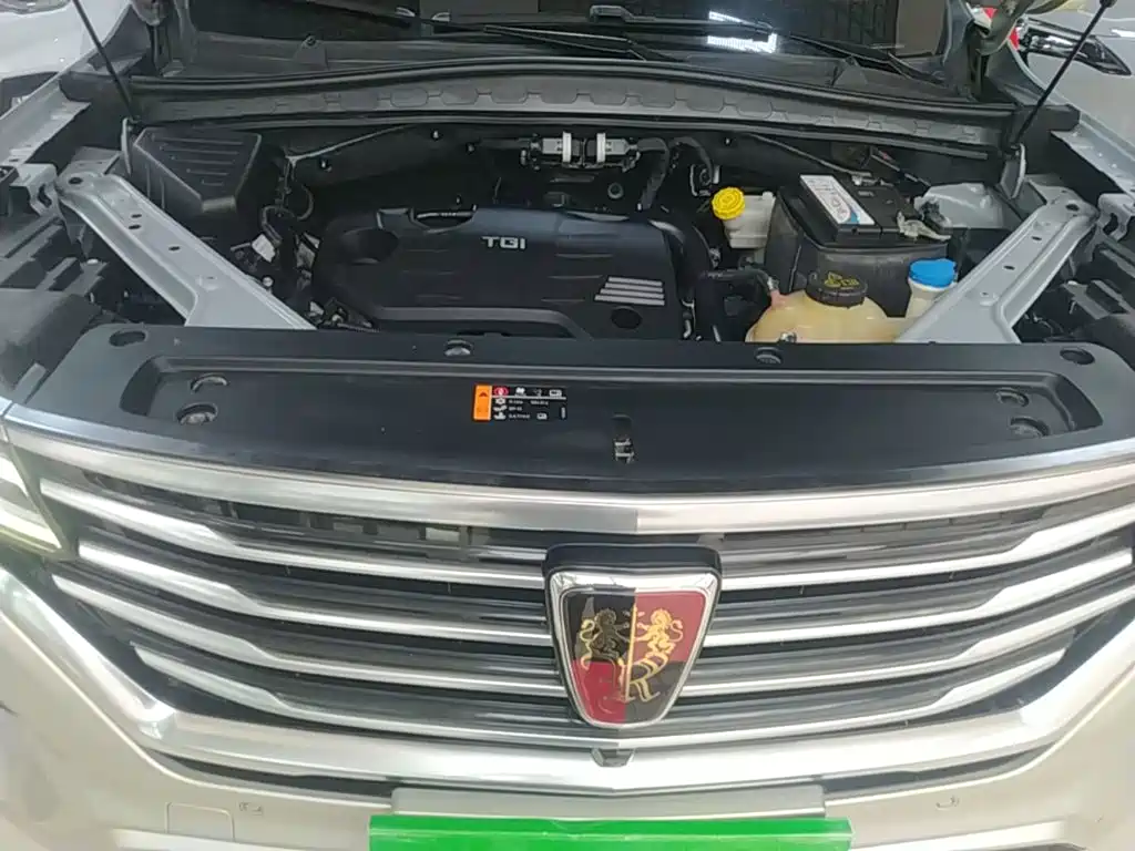 Roewe RX5 MAX 2019 — фото 20