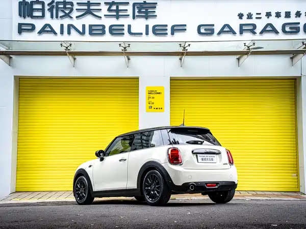 MINI MINI 2021