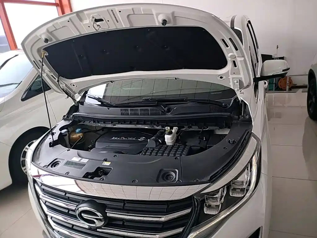 GAC Trumpchi M8 2020 — фото 20