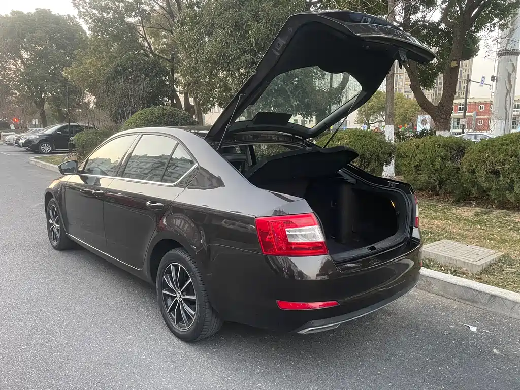 Skoda Octavia 2017 — фото 17