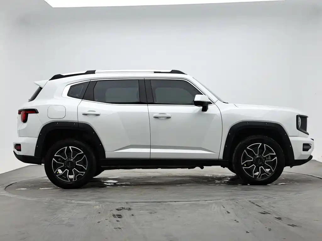 Haval Big Dog PLUS New Energy 2023 — фото 5