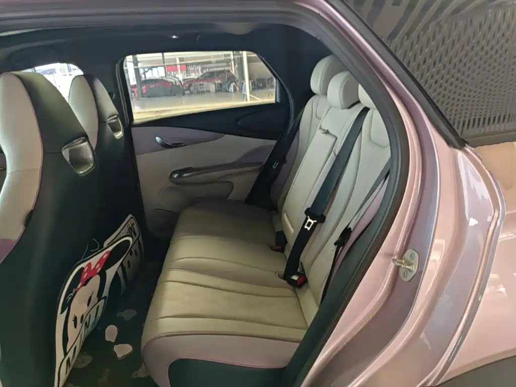 BYD Dolphin 2023 — фото 17
