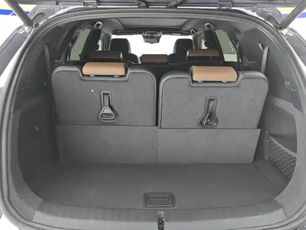 BYD Tang New Energy 2024
