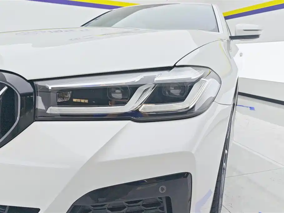 BMW 5 Series New Energy 2022