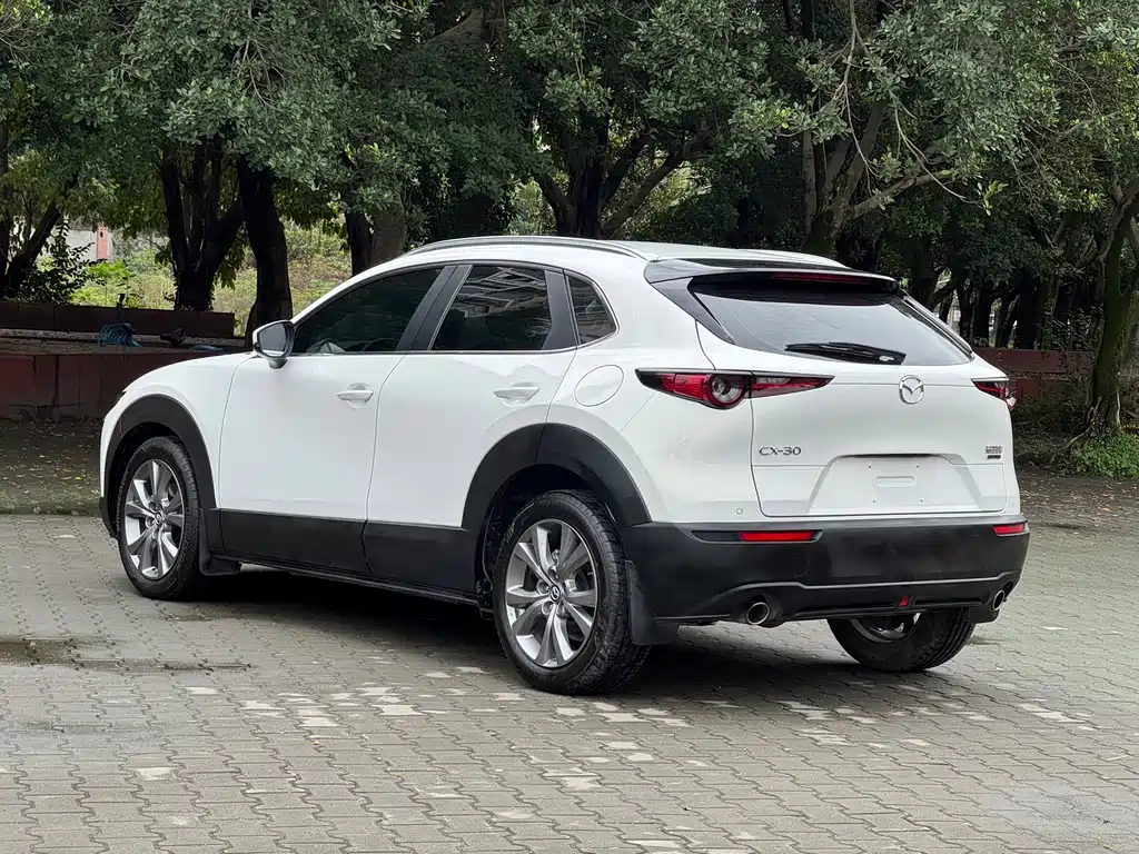 Mazda CX-30 2021 — фото 6