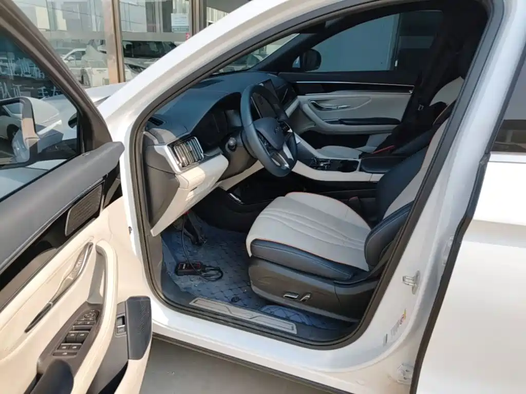 BYD PLUS New Energy 2024 — фото 16