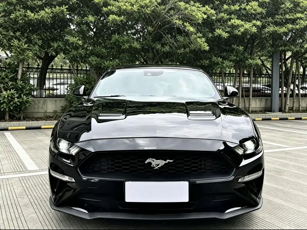 Ford Mustang 2019 — фото 2