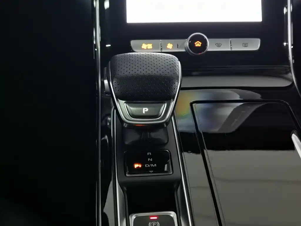 Roewe RX5 MAX 2020 — фото 13