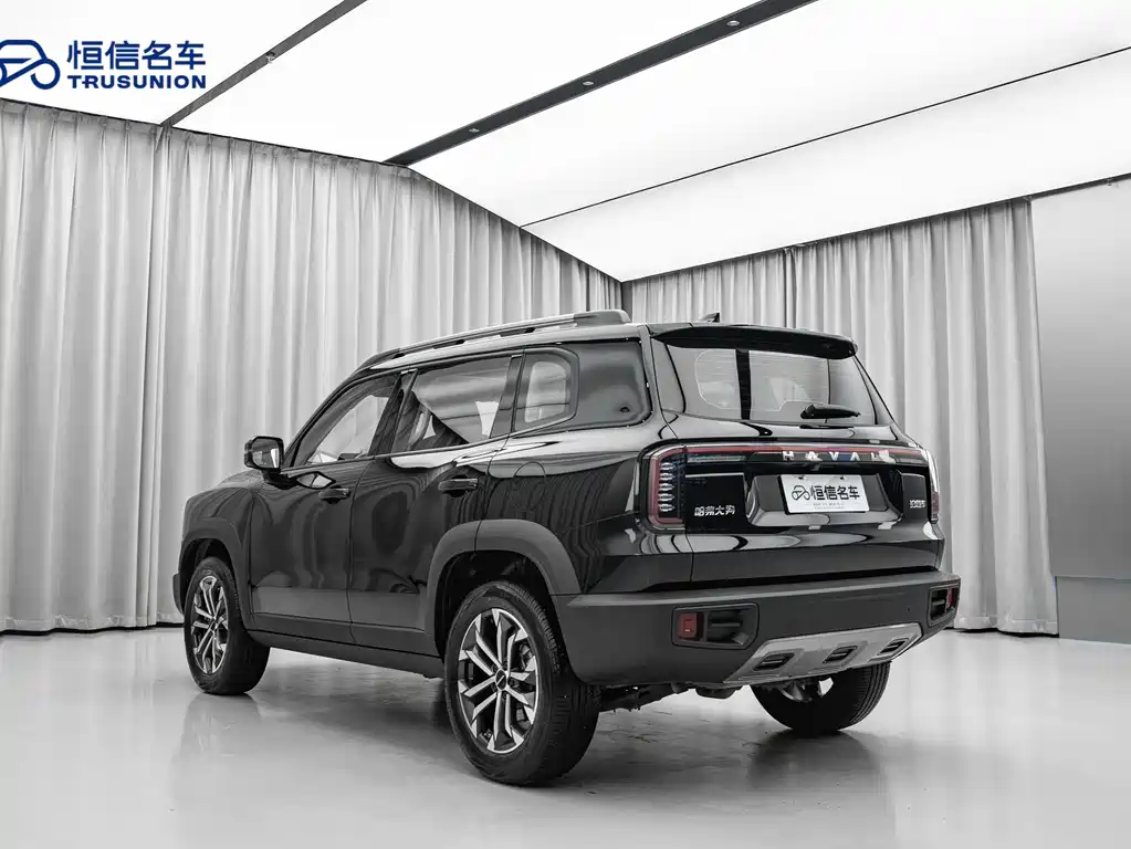 Haval Big Dog 2024 — фото 6