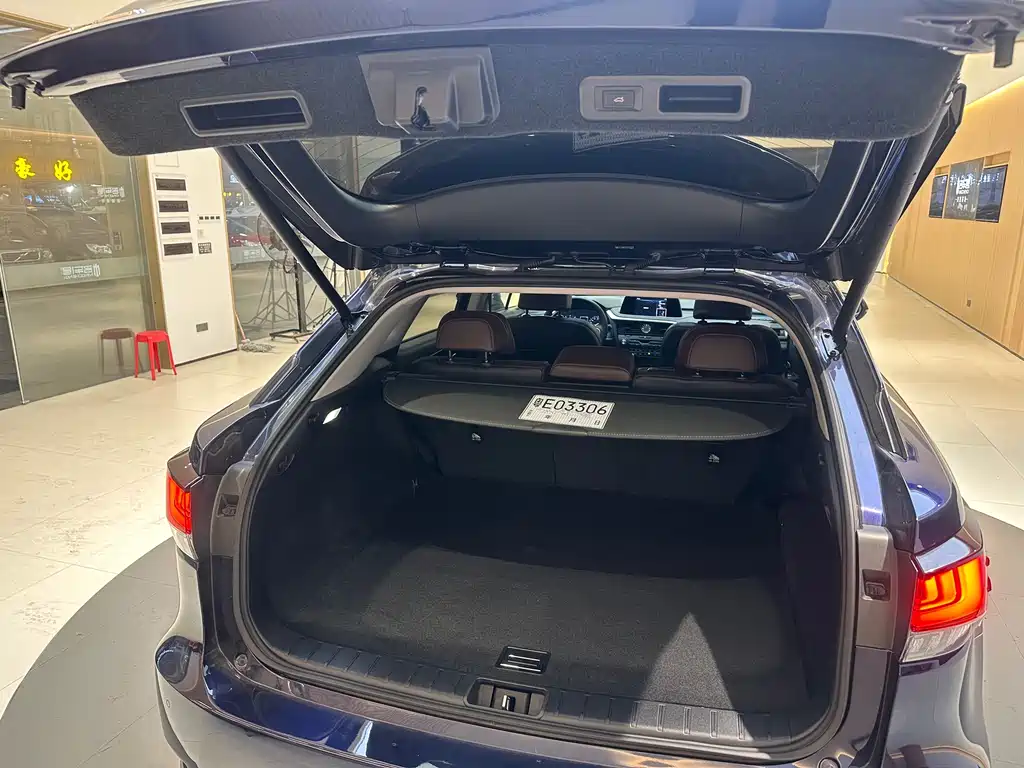 Lexus RX 2020 — фото 12