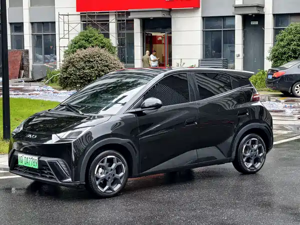BYD Seagull 2024