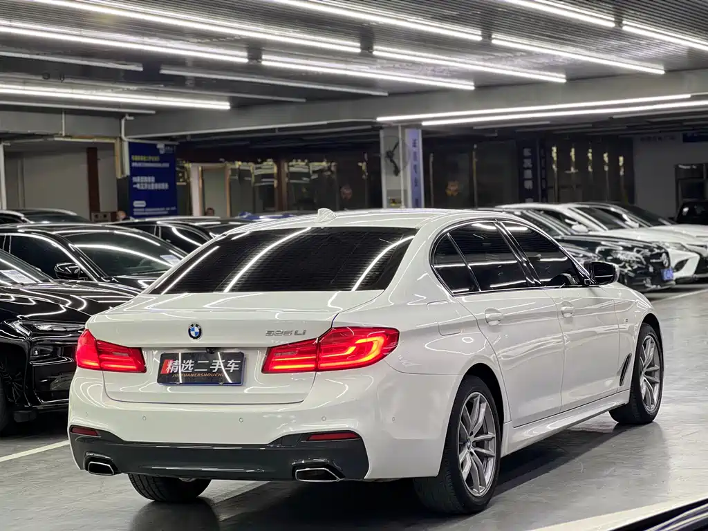 BMW 5 Series 2019 — фото 8