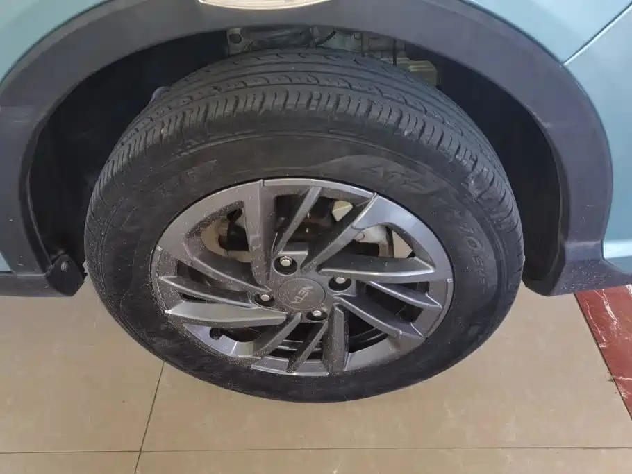 Neta V 2021