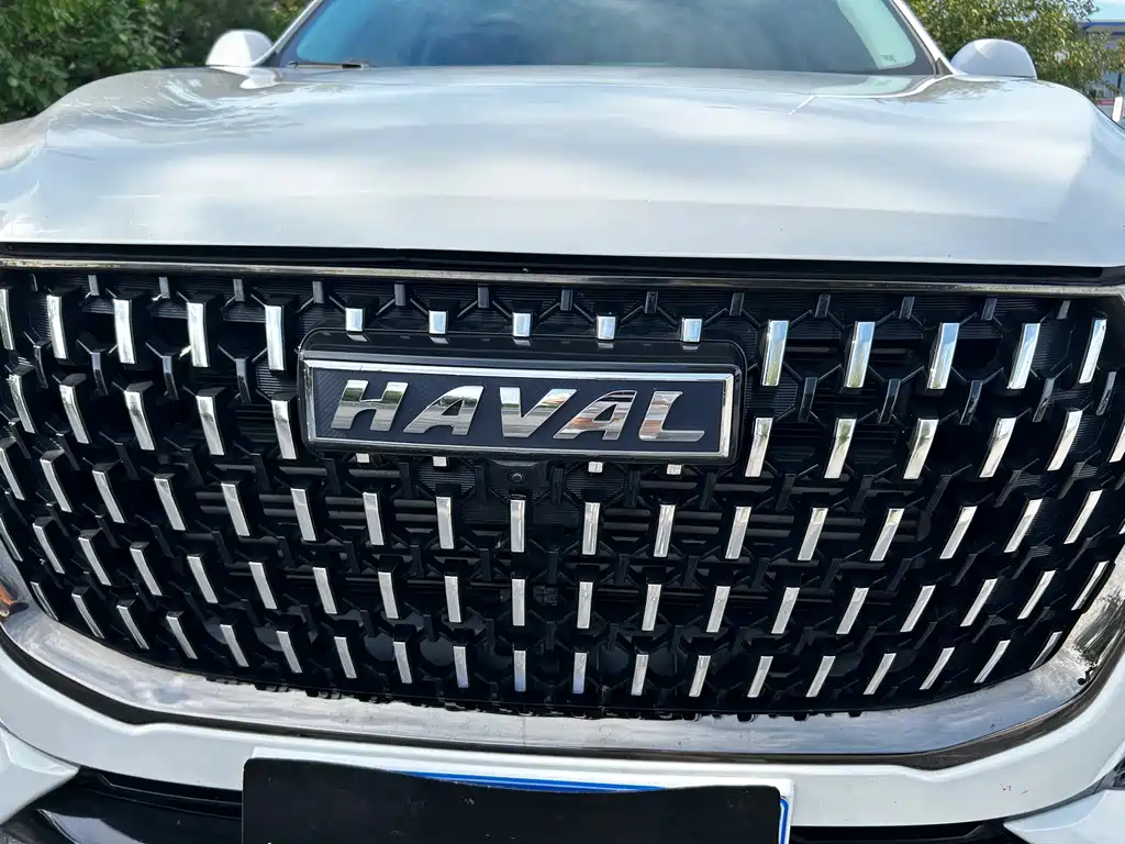 Haval H6 2024 — фото 10