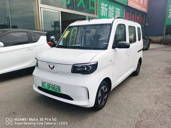 Wuling Zhiguang New Energy 2026