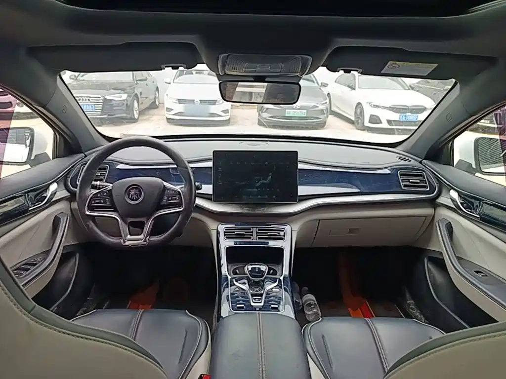BYD Qin PLUS 2021 — фото 10