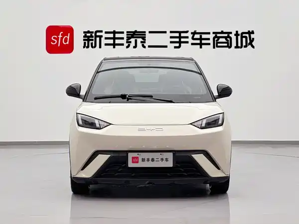 BYD Seagull 2024
