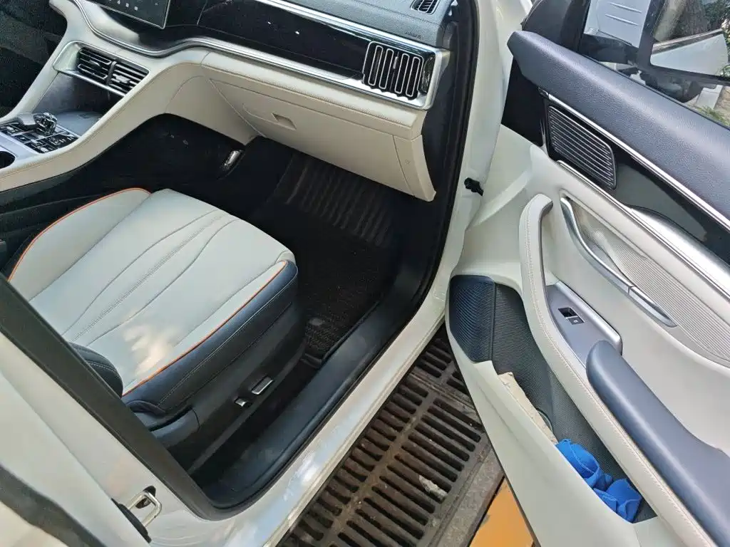 BYD PLUS New Energy 2023 — фото 21