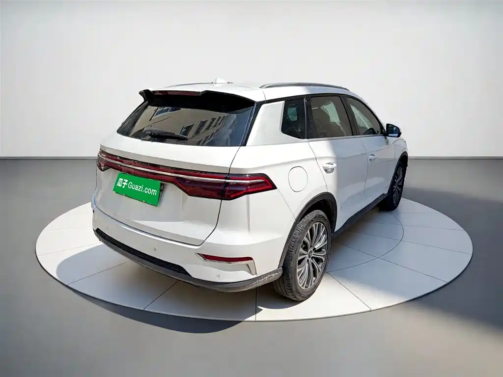 BYD Pro New Energy 2020