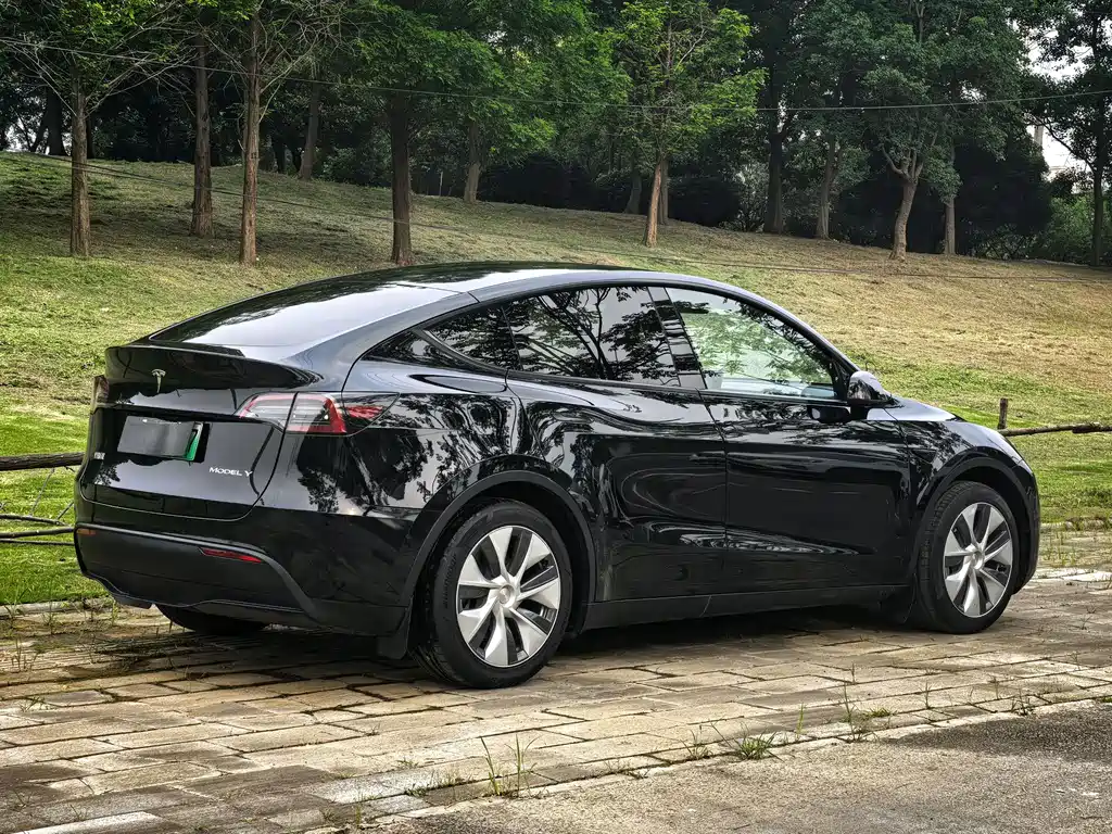 Tesla Model Y 2021 — фото 4