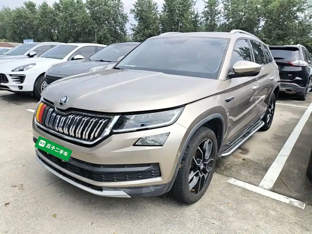 Skoda Kodiaq 2019 — фото 1