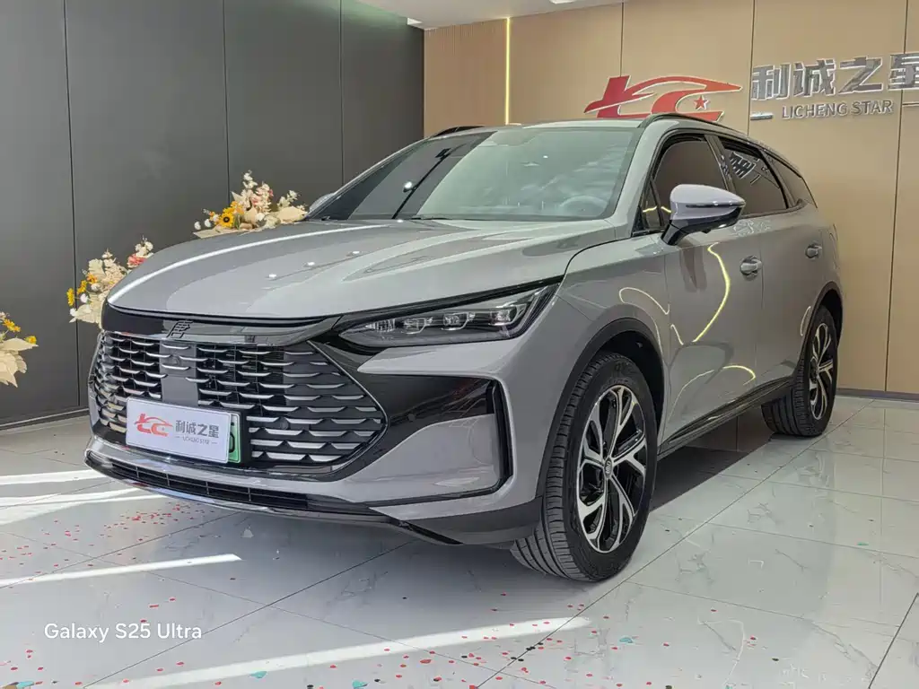 BYD Tang New Energy 2024