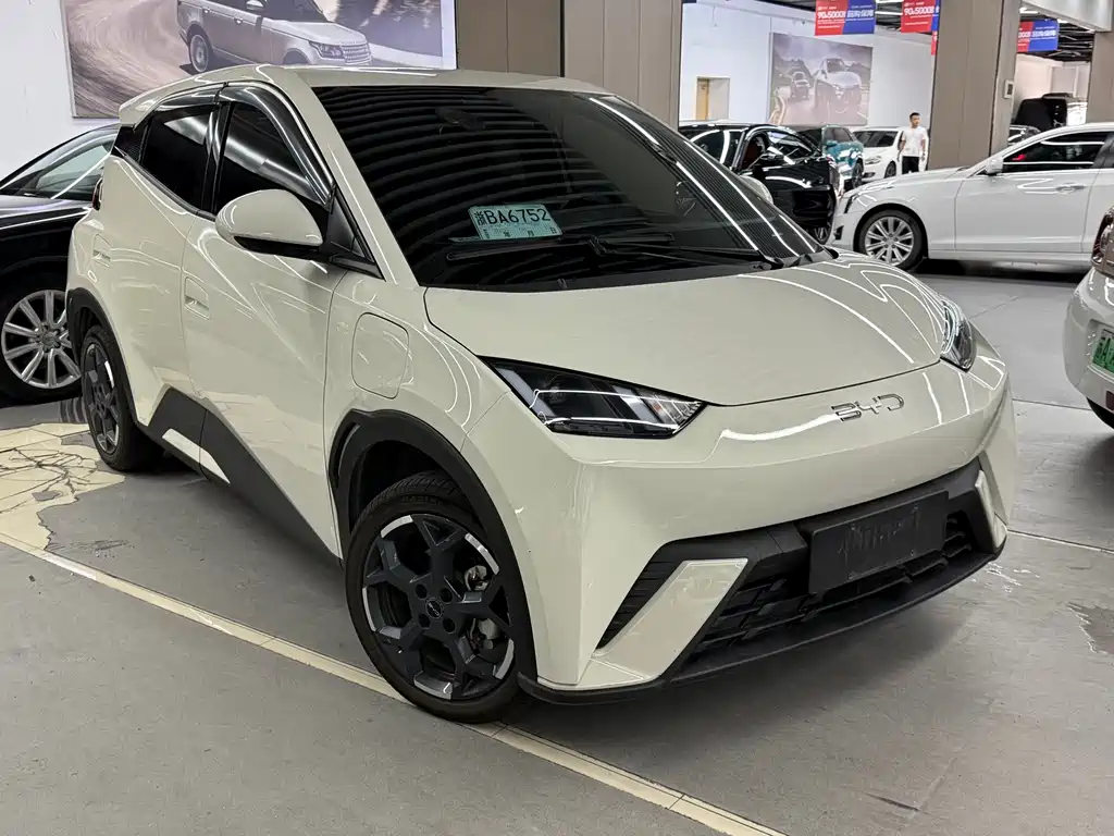 BYD Seagull 2024