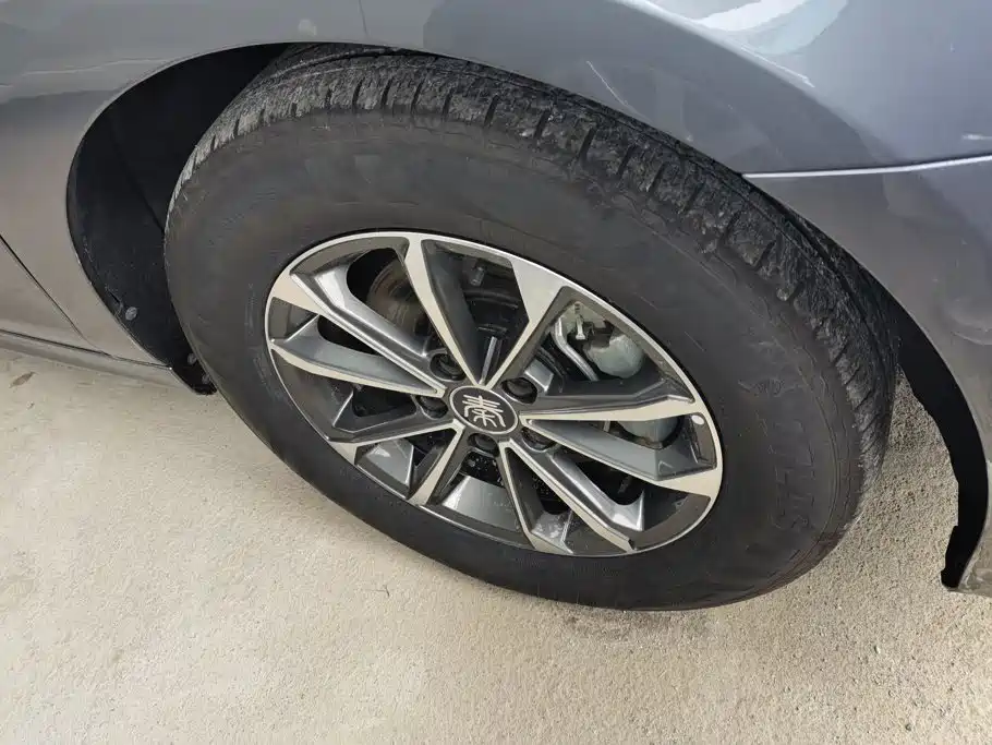 BYD Qin PLUS 2024