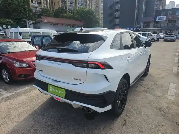 Dongfeng Fengxing T5 EVO 2024