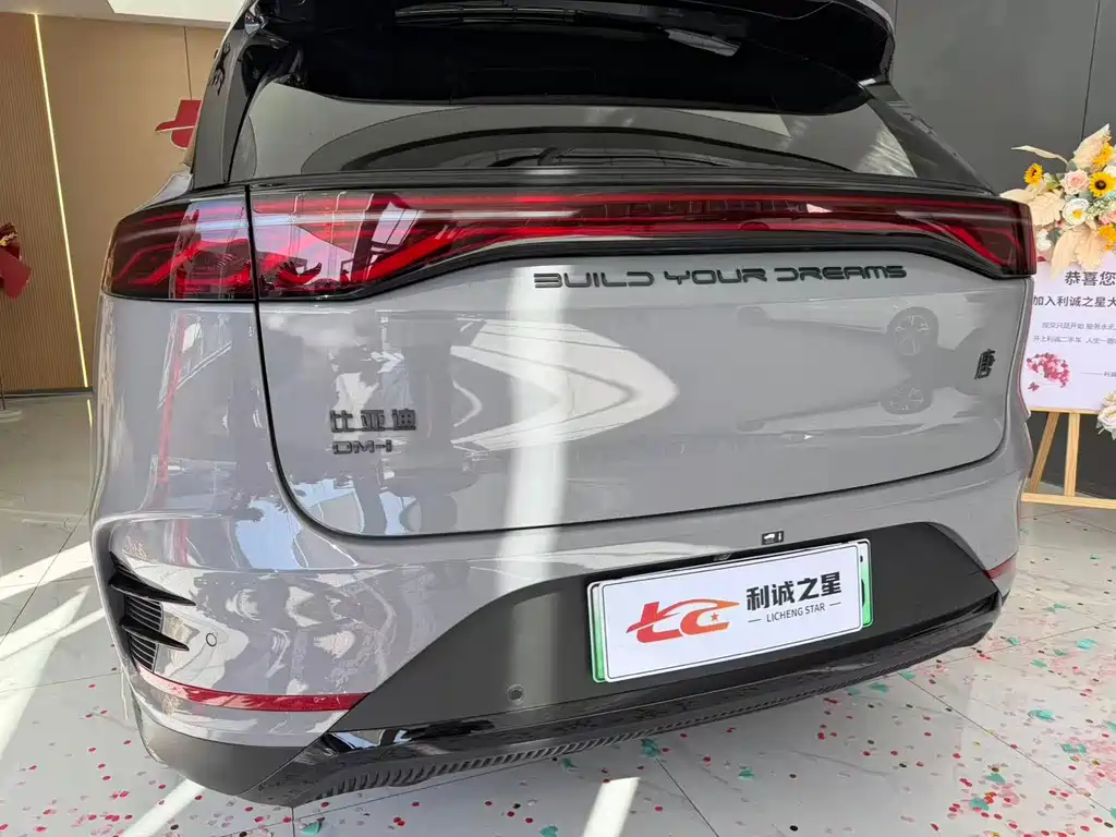 BYD Tang New Energy 2024 — фото 10