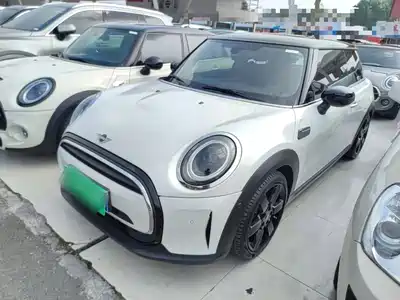 MINI MINI 2024