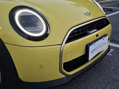 MINI MINI 2025