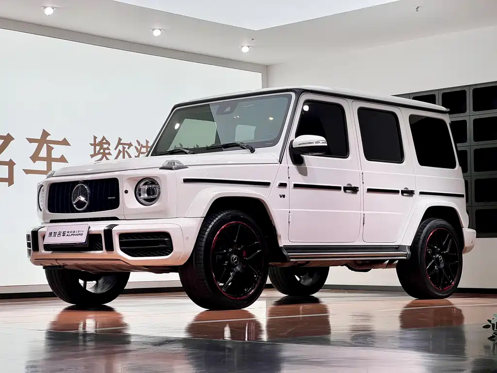 Mercedes-Benz G-Class 2019 — фото 1