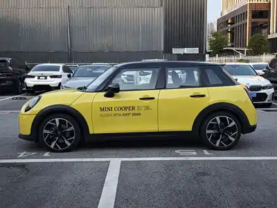 MINI MINI 2025