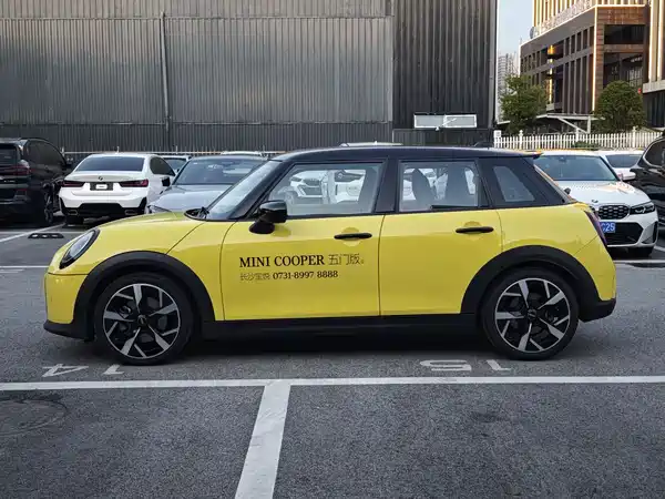 MINI MINI 2025