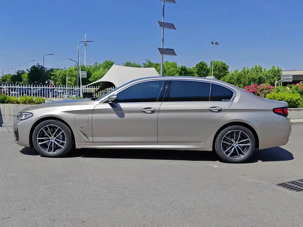 BMW 5 Series New Energy 2021