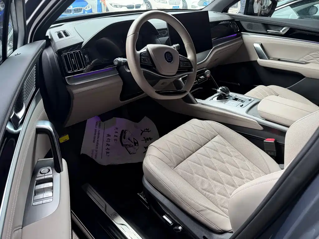 BYD Tang New Energy 2024