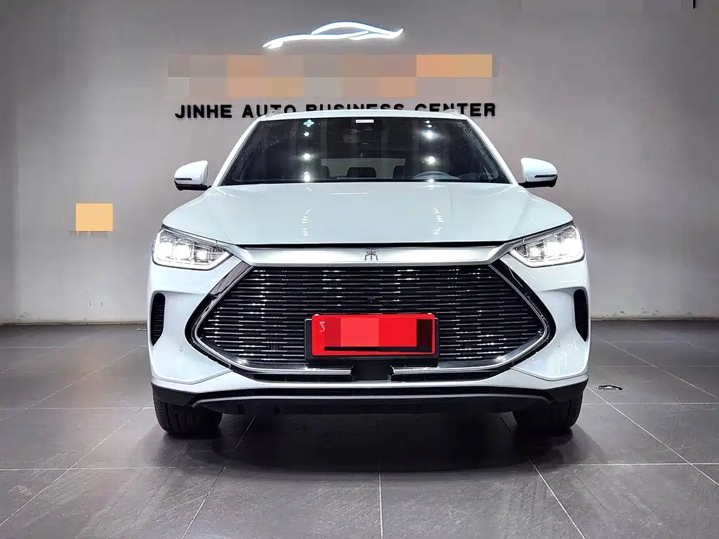BYD PLUS New Energy 2022 — фото 2