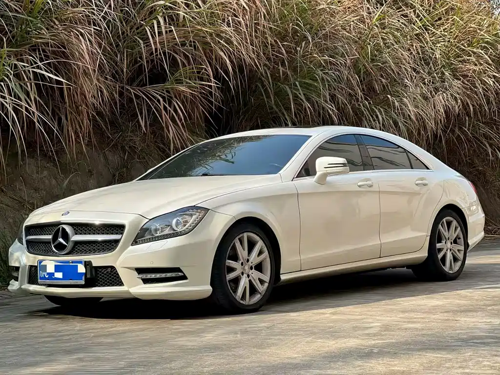 Mercedes-Benz CLS 2014 — фото 2